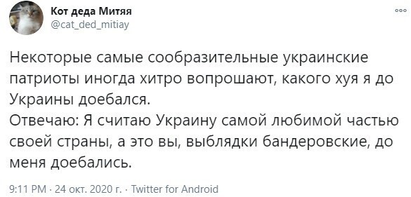 Политические комментарии из инета