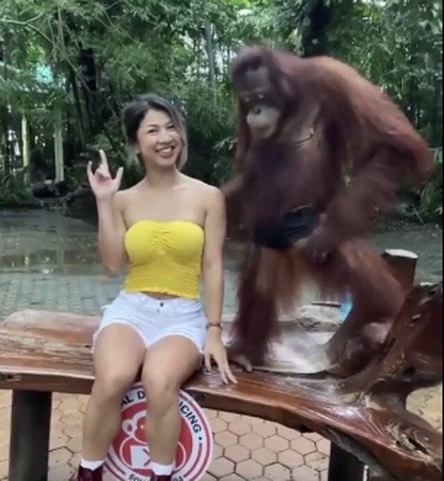 Наглый примат схватил туристку за грудь