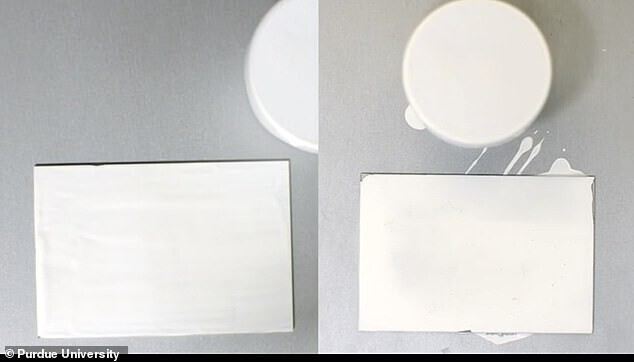 Новая супербелая краска (справа), разработанная в университете Purdue, отражает 95,5% солнечного света