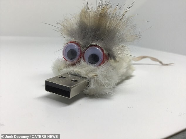 USB-накопитель из мыши и кролика.