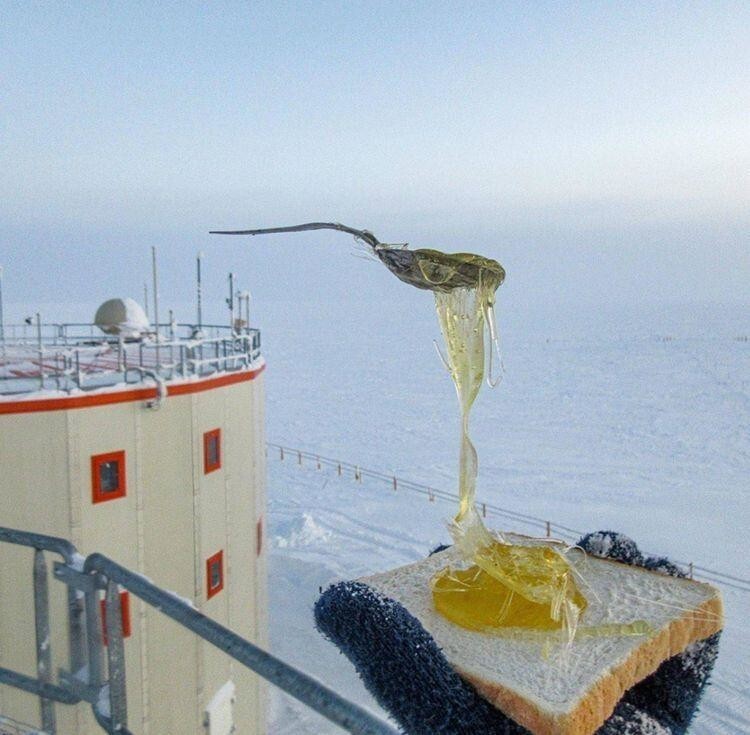 Попытка сделать бутерброд с мёдом в условиях сильного мороза