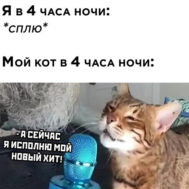 Намешалось