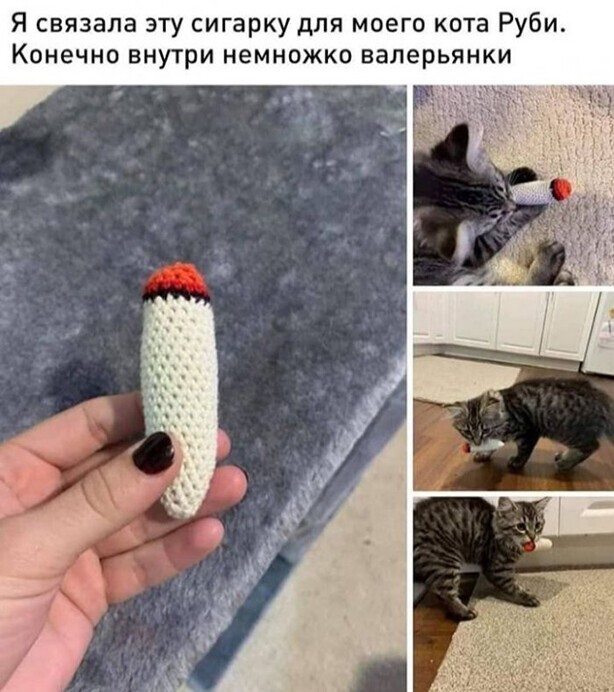 Прикольные и смешные картинки