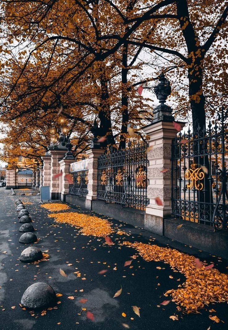 Петербургу осень к лицу