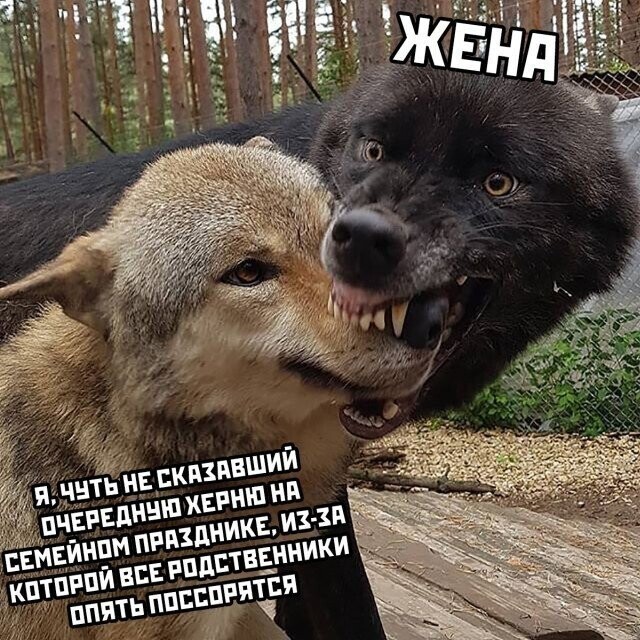 Всё вразнобой