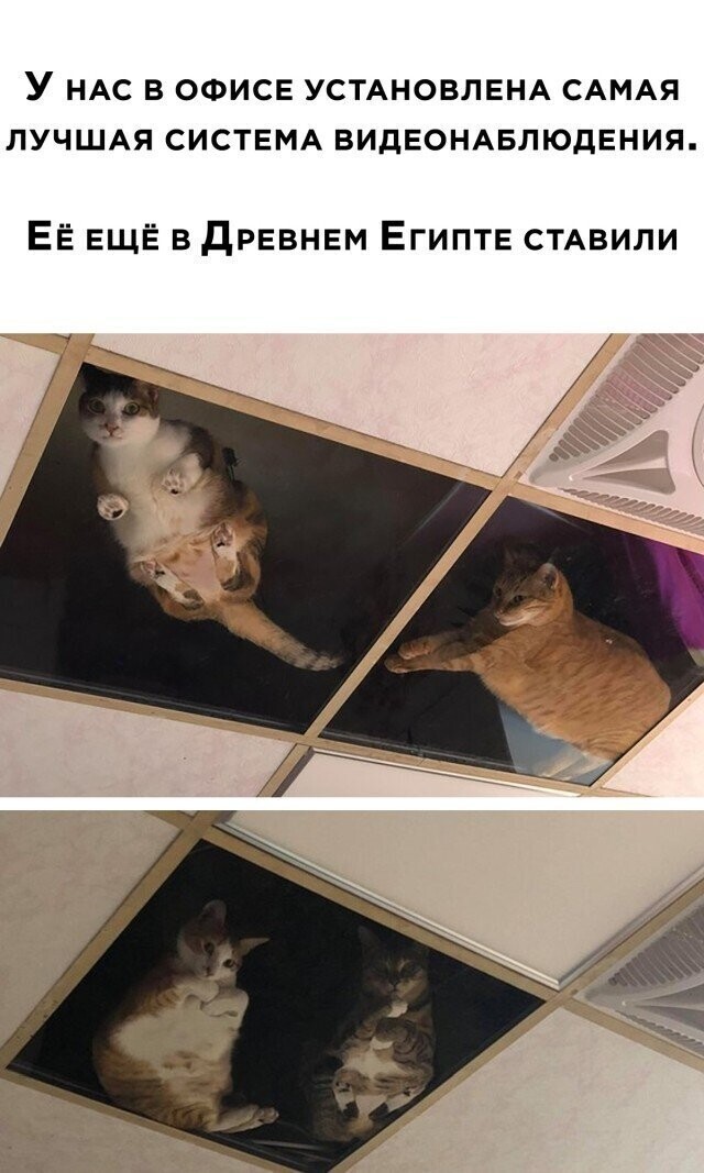 Всё вразнобой