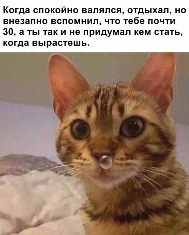 Юмор для тех, кому немного за 30