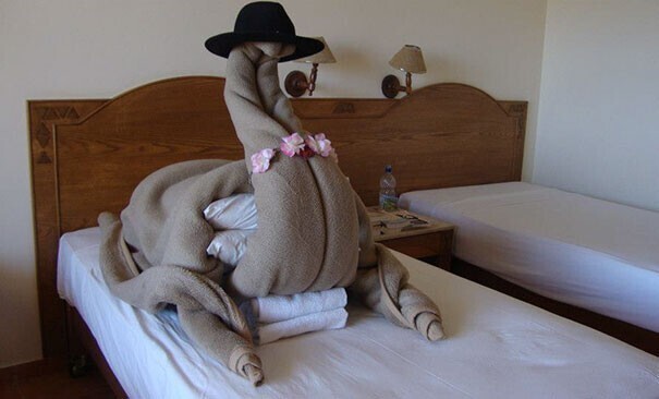«Я просил, чтобы в моем номере был верблюд…»
