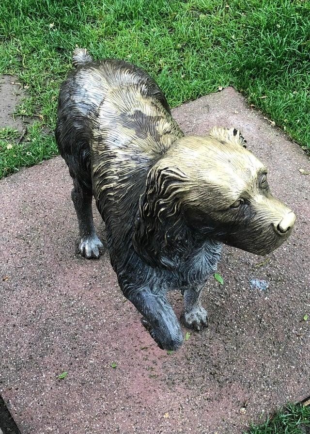 Статуя собаки, которую долгие годы гладят люди