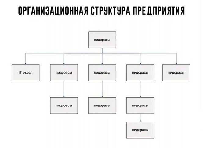 Прикольные и смешные картинки