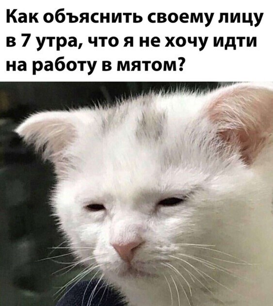 Прикольные и смешные картинки