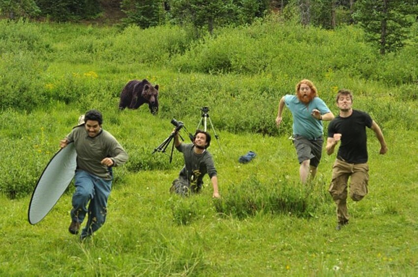 Журналисты убегают от медведя - подделка, медведя взяли с другой фотографии и прифотошопили