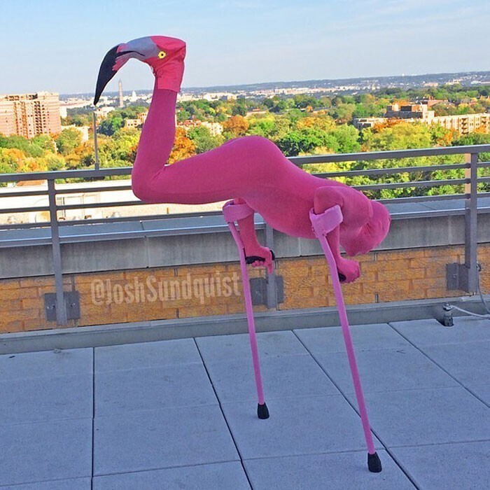 В 2013 году он перевоплотился в фламинго: "Я однажды был в зоопарке и заметил, что фламинго выглядят так, будто я делаю стойку на костылях"