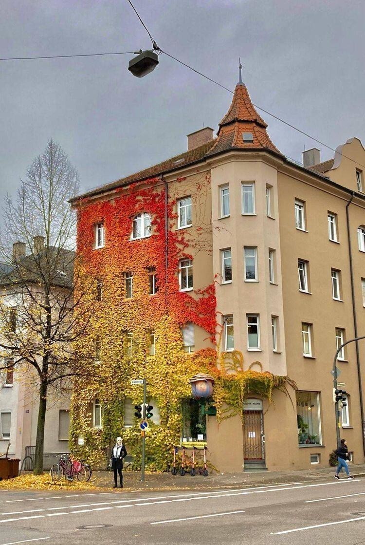 Красивый градиент из листвы на красивом здании