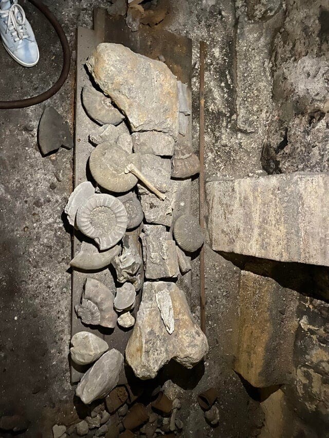 3. «Мой друг нашёл кость динозавра в подвале своего дома 15-го века на северо-востоке Франции»