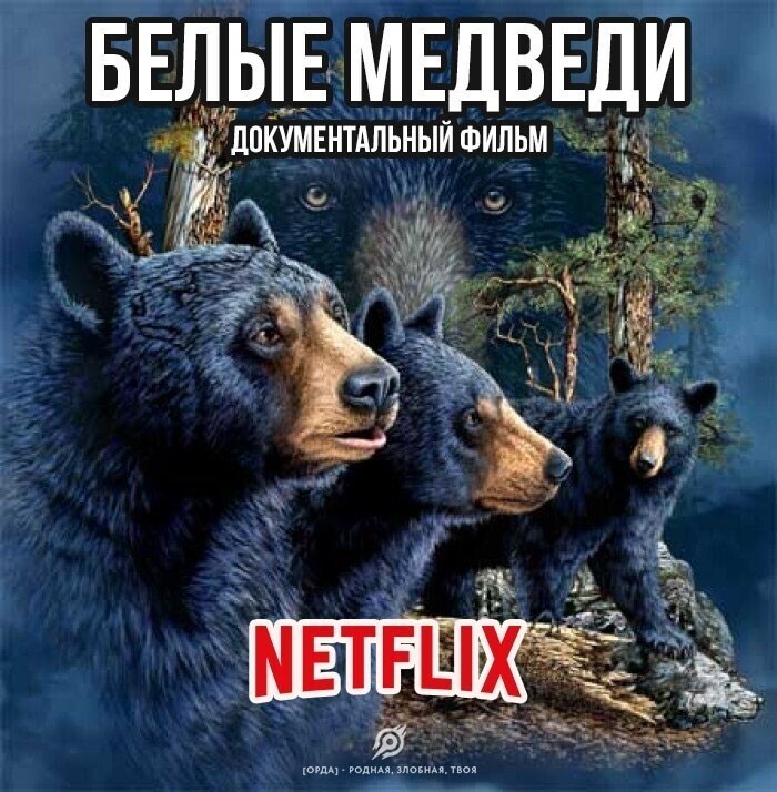 Нельзя netflix снимать про медведей, они же сделают их геями.  Медведи белые, актёры черные.