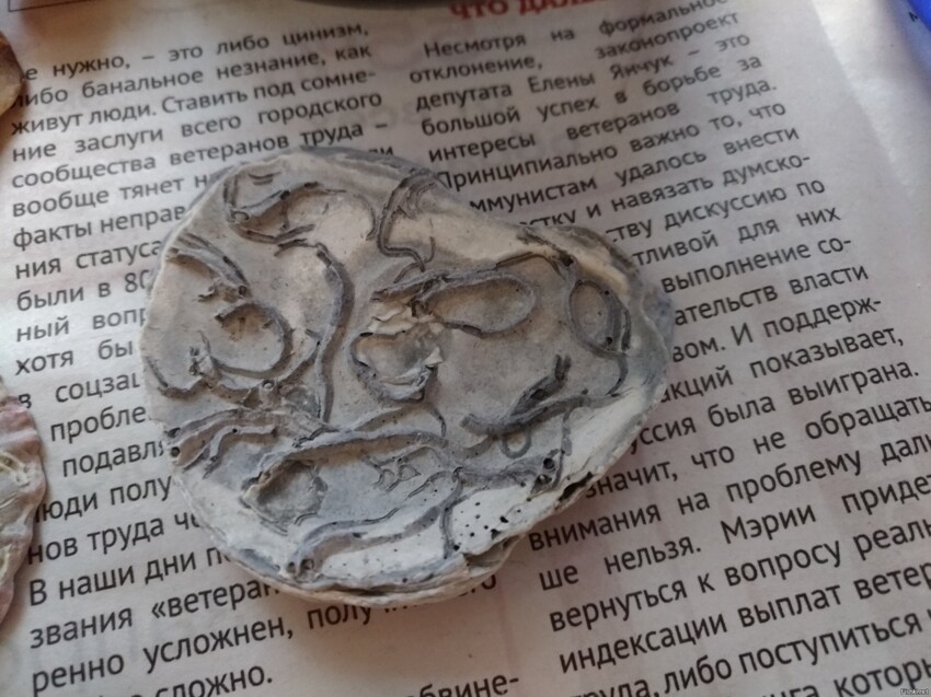 Есть ракушка
