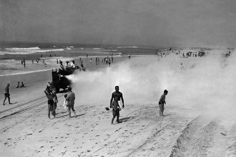 Распыление ДДТ для уничтожения насекомых на пляже в Лонг-Айленде, штат Нью-Йорк. 1945 г.