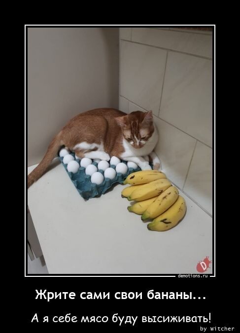 Жрите сами свои бананы...