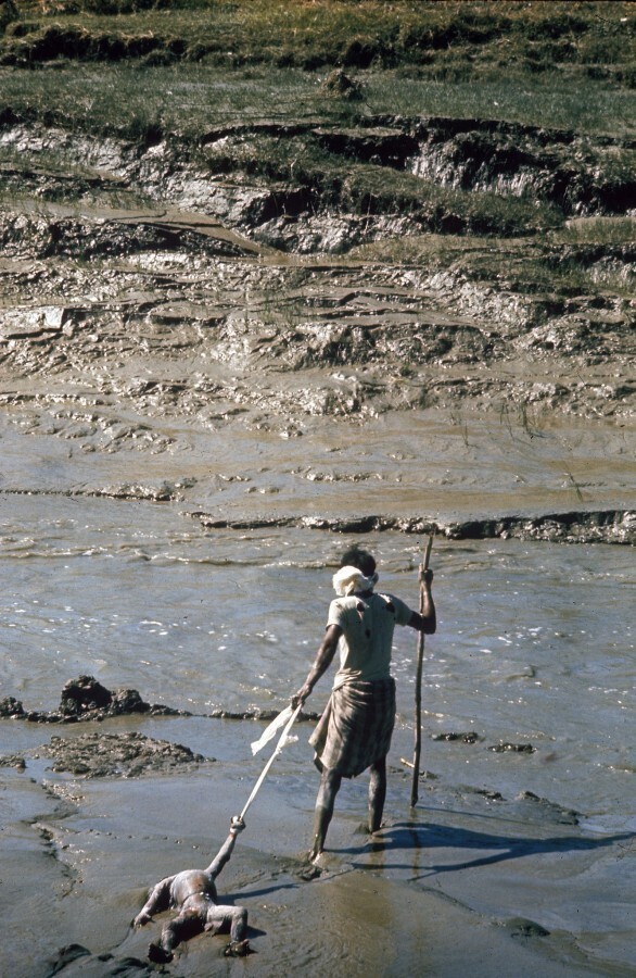 Ноябрь 1970 года. Восточный Пакистан (ныне Бангладеш). Фото Larry Burrows