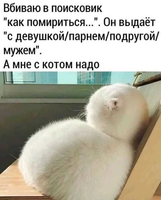 Прикольные и смешные картинки