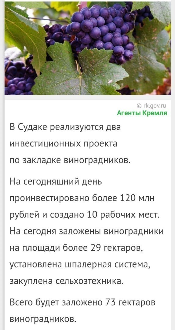 Новые гектары виноградников в Крыму
