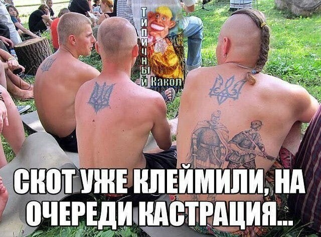 Политические комментарии из инета