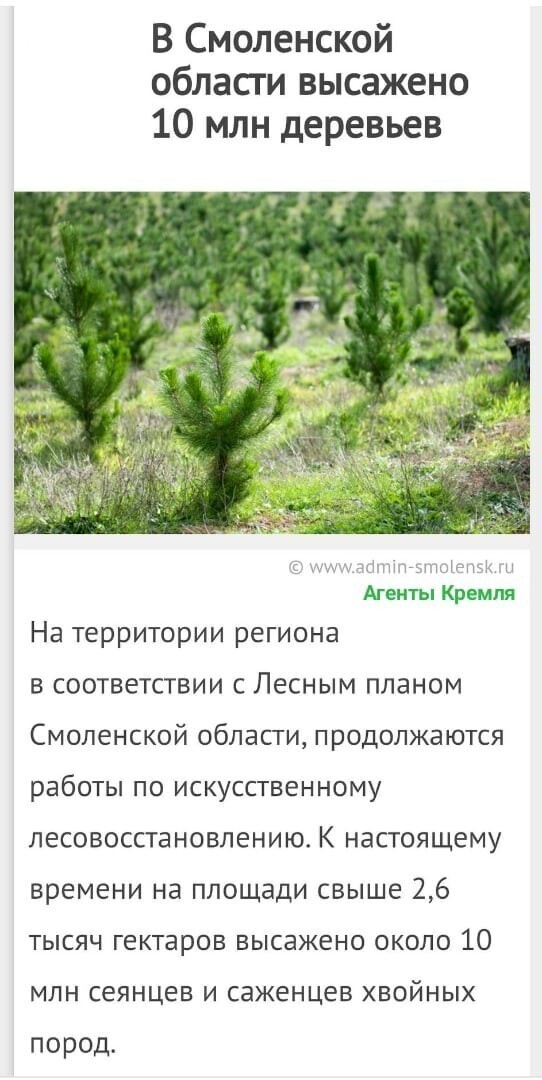 Политические комментарии из инета
