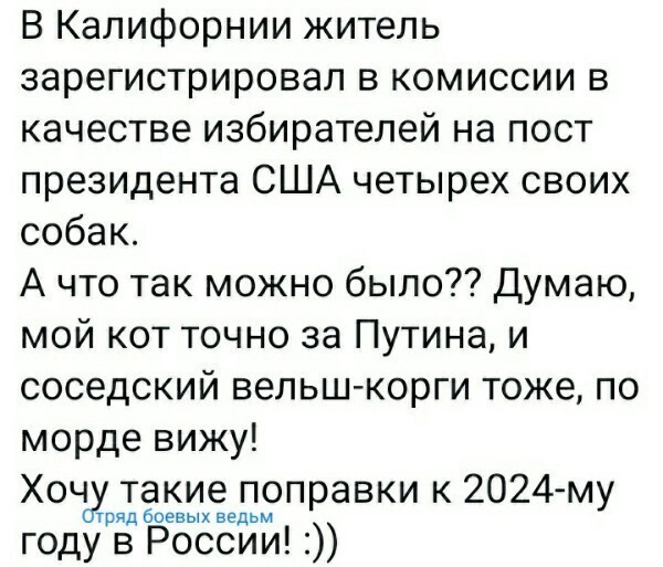 Политические комментарии из инета
