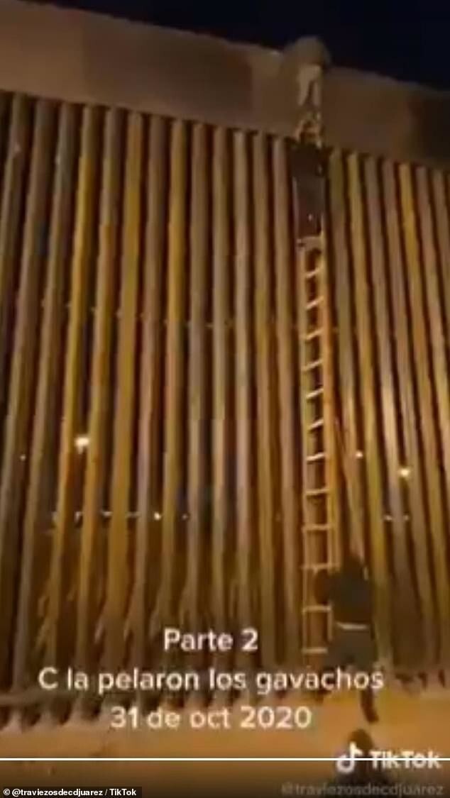 Нелегальные мигранты перелезают через трамповскую стену с помощью веревочной лестницы