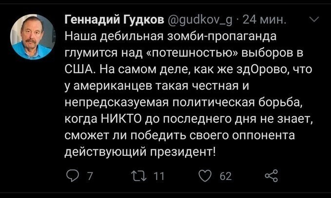 Кто если не либшизная мразь будет восхищаться тем 3,14здецом,что называется выборы в сшп