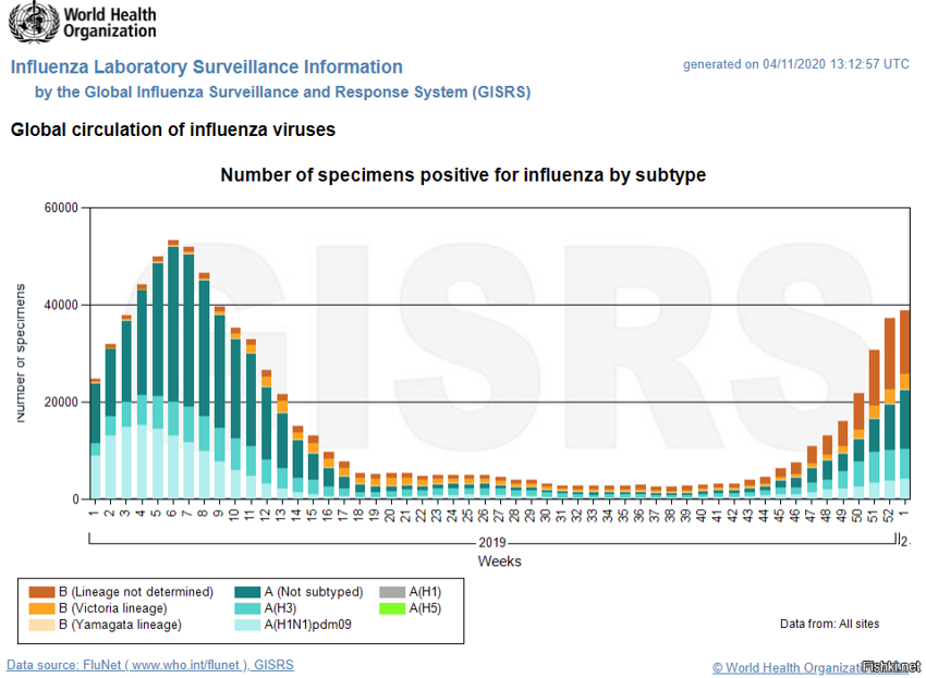 Данные Всемирной организации здравоохранения по гриппу за 2018 - 2020 годы (h...