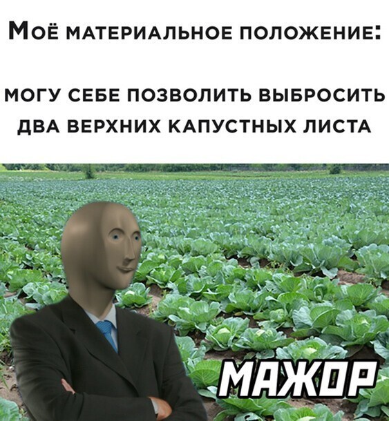 Прикольные и смешные картинки