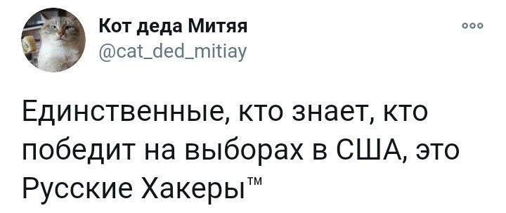 Политические комментарии из инета