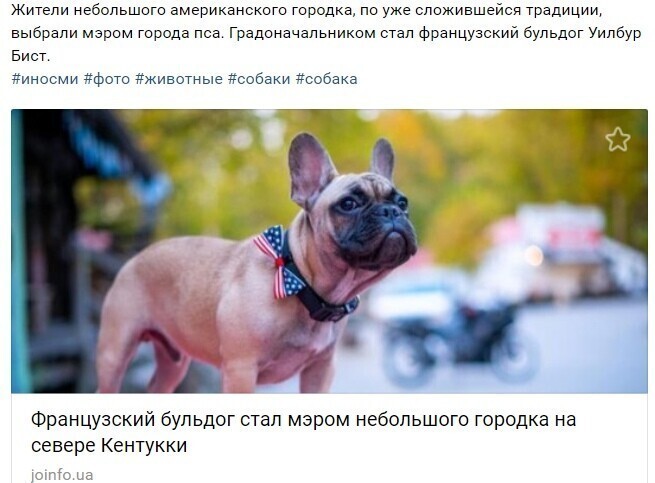 Политические комментарии 2