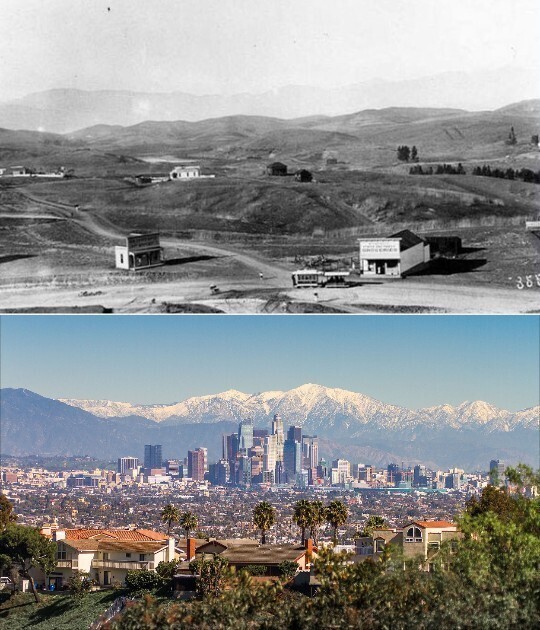 Лос-Анджелес 1901 / 2020