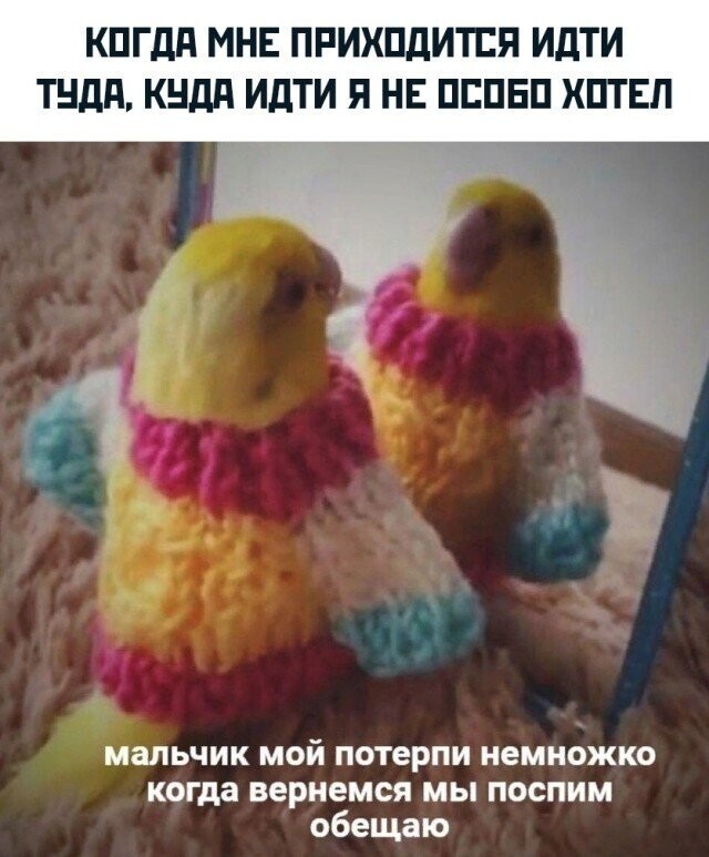 Намешалось