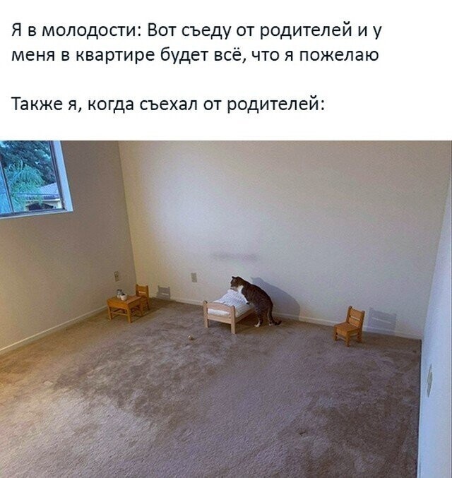 Намешалось