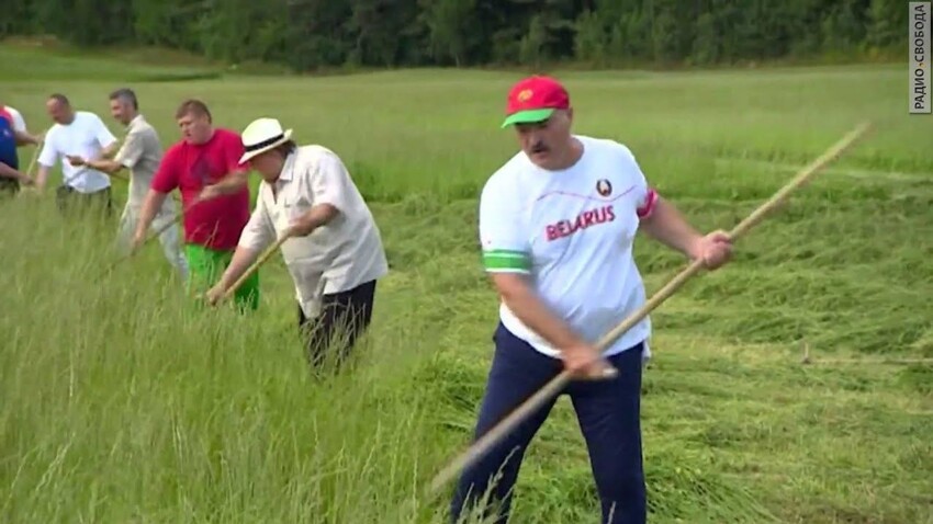 Лукашенко выявил ещё один способ борьбы с коронавирусом – покос травы