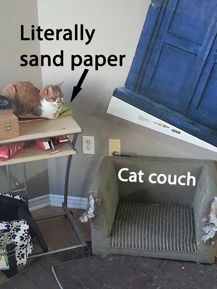 Кусок наждачной бумаги и кошачья кроватка. Конечно, кот выбрал кусок наждачки: