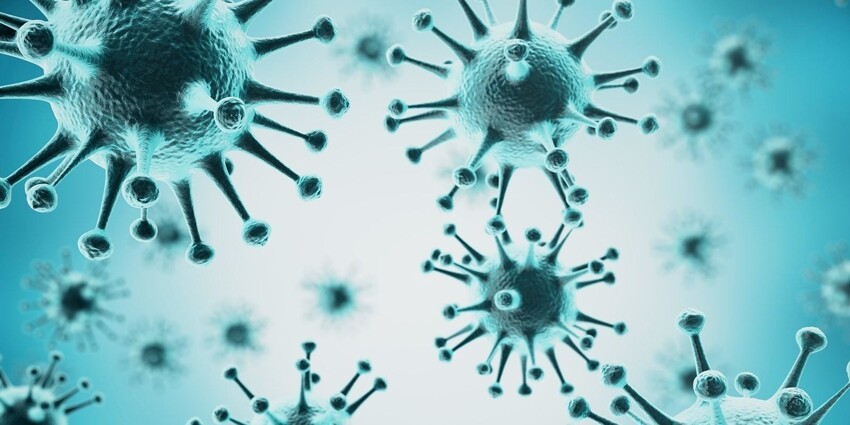 Мутировавший у датских норок коронавирус уже обнаружили у 214 пациентов
