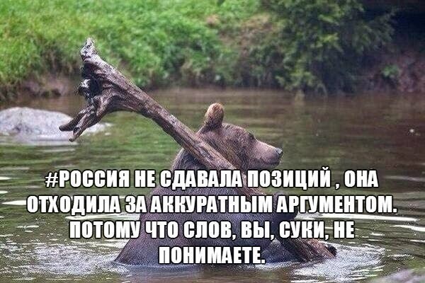 Политические комментарии из инета