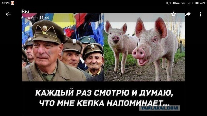 Политические комментарии из инета
