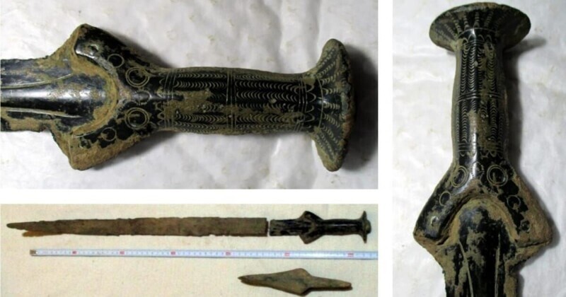 Чешский грибник нашел меч и топор возрастом 3300 лет