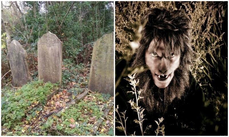 На британском кладбище уже два раза видели мистического "человека-собаку"