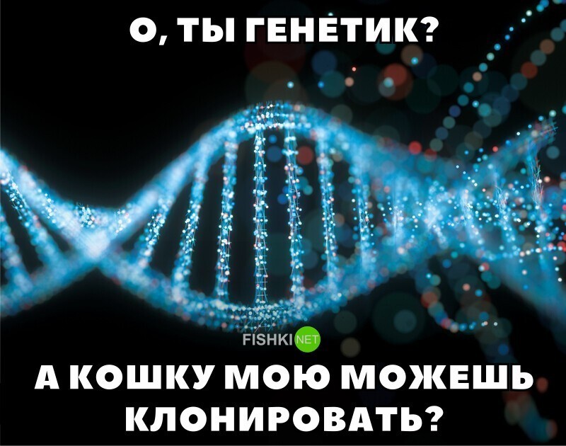 Фразы, которые уже устали выслушивать от новых знакомых представители разных профессий