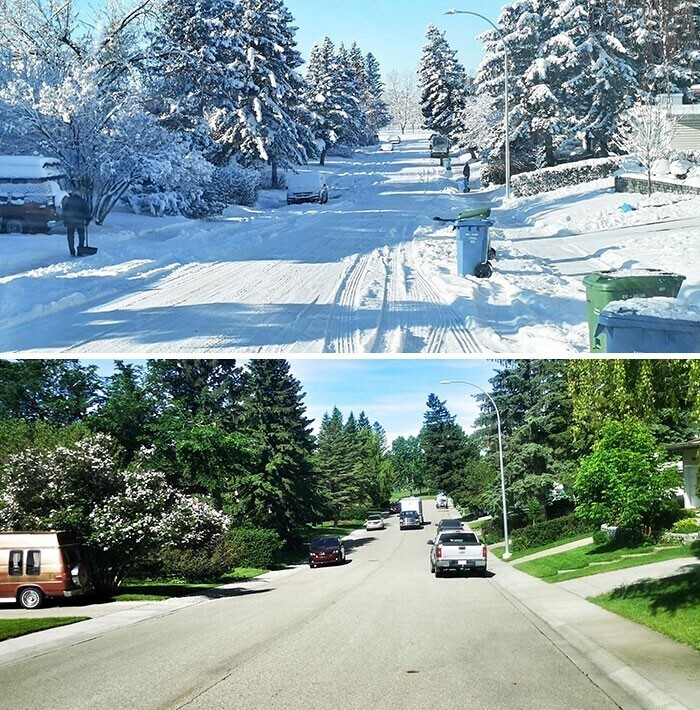 Первый день зимы и первый день лета на одной и той же улице, Канада