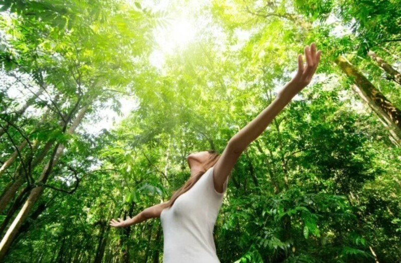 7 простых эко-привычек, которые помогут жить в гармонии с природой