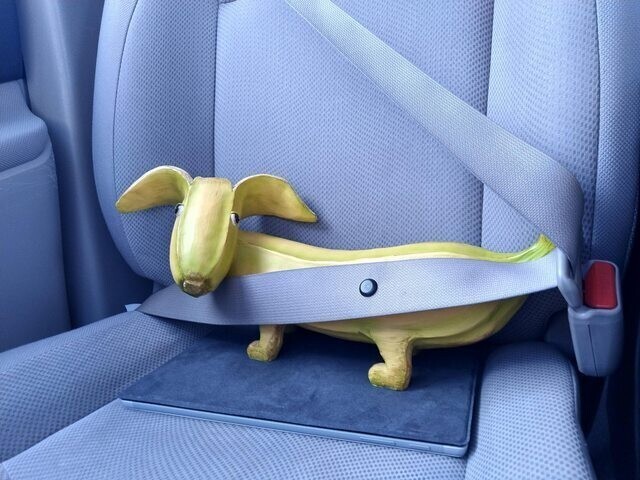 «Я купил банановую собаку»