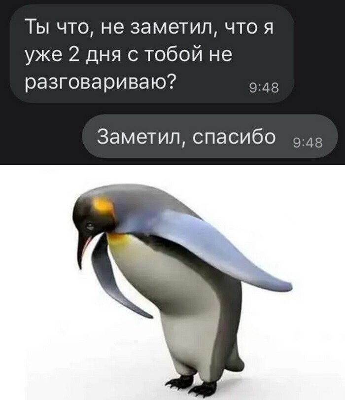 Скрины из социальных сетей